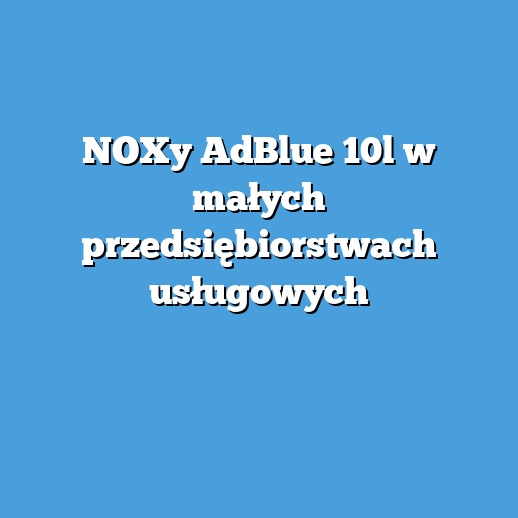 NOXy AdBlue 10l w małych przedsiębiorstwach usługowych