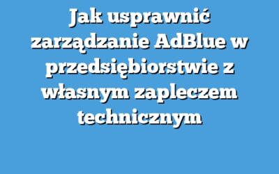 Jak usprawnić zarządzanie AdBlue w przedsiębiorstwie z własnym zapleczem technicznym