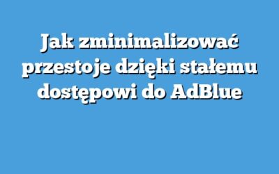 Jak zminimalizować przestoje dzięki stałemu dostępowi do AdBlue