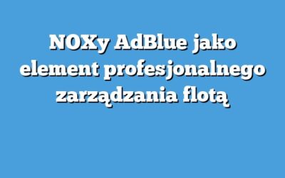 NOXy AdBlue jako element profesjonalnego zarządzania flotą