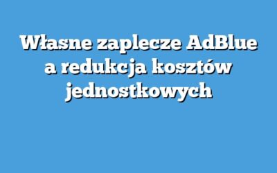 Własne zaplecze AdBlue a redukcja kosztów jednostkowych